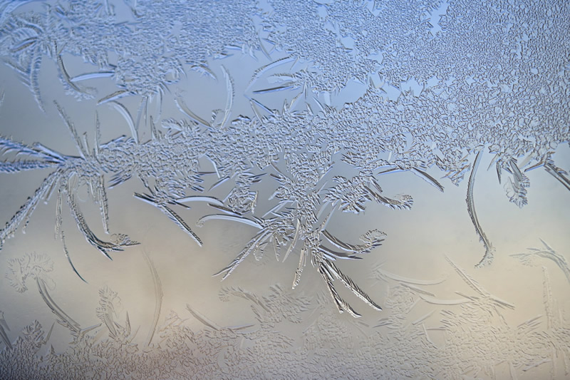 Jack Frost by Darlene Perkin